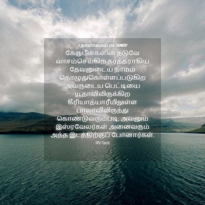 Picture 04 - 1 நாளாகமம் 13:6 TAMIRV - கேருபீன்களின் - Bible Verse Picture