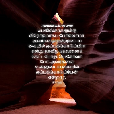 Picture 04 - 1 நாளாகமம் 14:10 TAMIRV - பெலிஸ்தர்களுக்கு - Bible Verse Picture