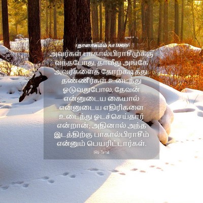 Picture 04 - 1 நாளாகமம் 14:11 TAMIRV - அவர்கள் - Bible Verse Picture