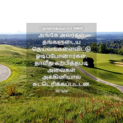 Picture 04 - 1 நாளாகமம் 14:12 TAMIRV - அங்கே அவர்கள் - Bible Verse Picture