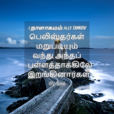 Picture 04 - 1 நாளாகமம் 14:13 TAMIRV - பெலிஸ்தர்கள் - Bible Verse Picture