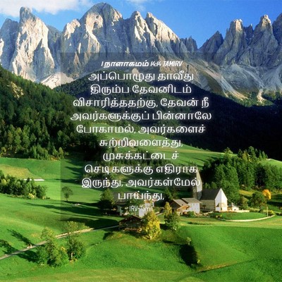 Picture 04 - 1 நாளாகமம் 14:14 TAMIRV - அப்பொழுது தாவீது - Bible Verse Picture
