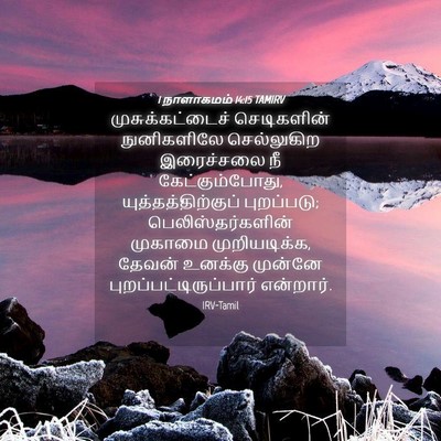 Picture 04 - 1 நாளாகமம் 14:15 TAMIRV - முசுக்கட்டைச் - Bible Verse Picture