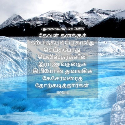 Picture 04 - 1 நாளாகமம் 14:16 TAMIRV - தேவன் தனக்குக் - Bible Verse Picture