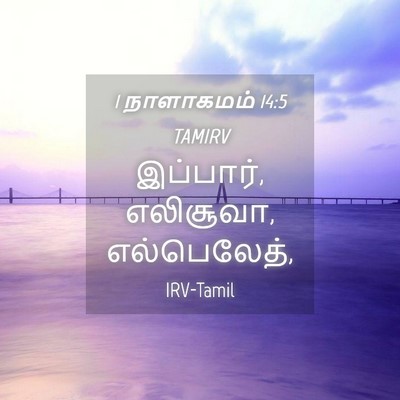 Picture 04 - 1 நாளாகமம் 14:5 TAMIRV - இப்பார், எலிசூவா, - Bible Verse Picture