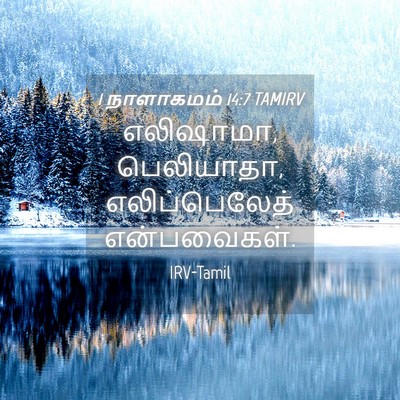 Picture 04 - 1 நாளாகமம் 14:7 TAMIRV - எலிஷாமா, பெலியாதா, - Bible Verse Picture