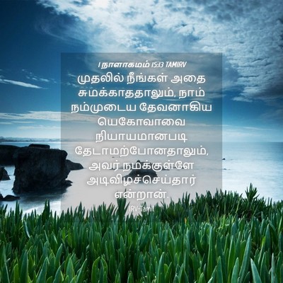 Picture 04 - 1 நாளாகமம் 15:13 TAMIRV - முதலில் நீங்கள் - Bible Verse Picture