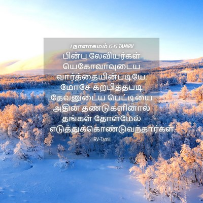 Picture 04 - 1 நாளாகமம் 15:15 TAMIRV - பின்பு லேவியர்கள் - Bible Verse Picture