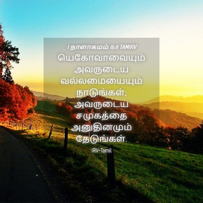 Picture 04 - 1 நாளாகமம் 16:11 TAMIRV - யெகோவாவையும் - Bible Verse Picture
