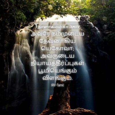 Picture 04 - 1 நாளாகமம் 16:14 TAMIRV - அவரே நம்முடைய - Bible Verse Picture