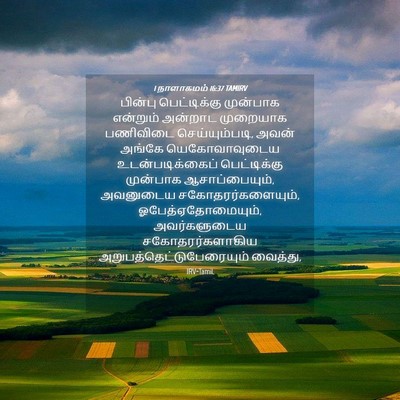 Picture 04 - 1 நாளாகமம் 16:37 TAMIRV - பின்பு பெட்டிக்கு - Bible Verse Picture
