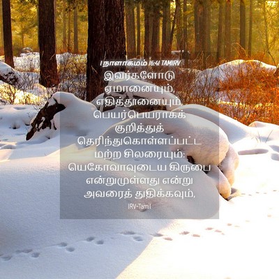 Picture 04 - 1 நாளாகமம் 16:41 TAMIRV - இவர்களோடு - Bible Verse Picture