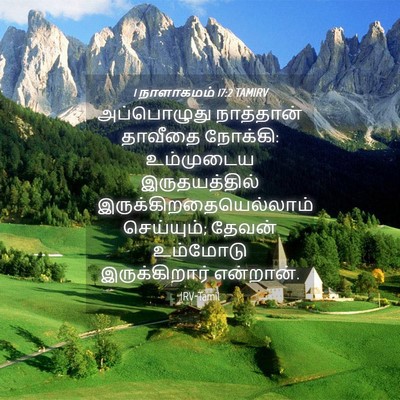 Picture 04 - 1 நாளாகமம் 17:2 TAMIRV - அப்பொழுது - Bible Verse Picture