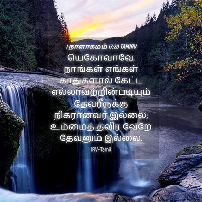 Picture 04 - 1 நாளாகமம் 17:20 TAMIRV - யெகோவாவே, நாங்கள் - Bible Verse Picture