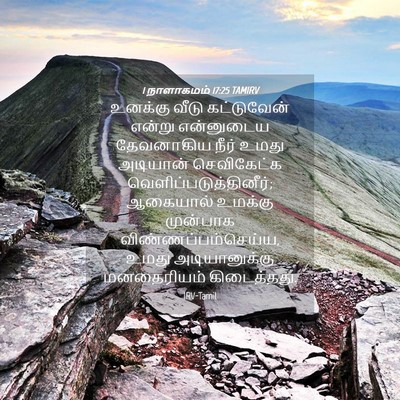 Picture 04 - 1 நாளாகமம் 17:25 TAMIRV - உனக்கு வீடு - Bible Verse Picture