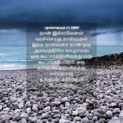 Picture 04 - 1 நாளாகமம் 17:5 TAMIRV - நான் இஸ்ரவேலை - Bible Verse Picture