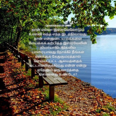 Picture 04 - 1 நாளாகமம் 17:6 TAMIRV - நான் எல்லா - Bible Verse Picture