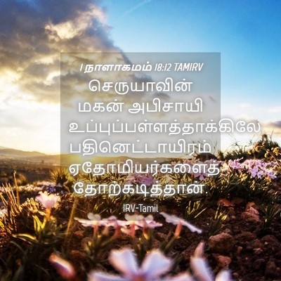 Picture 04 - 1 நாளாகமம் 18:12 TAMIRV - செருயாவின் மகன் - Bible Verse Picture