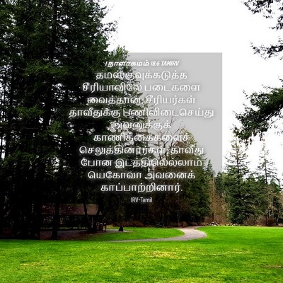 Picture 04 - 1 நாளாகமம் 18:6 TAMIRV - தமஸ்குவுக்கடுத்த - Bible Verse Picture