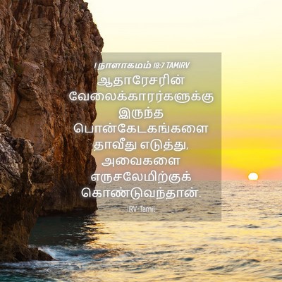 Picture 04 - 1 நாளாகமம் 18:7 TAMIRV - ஆதாரேசரின் - Bible Verse Picture