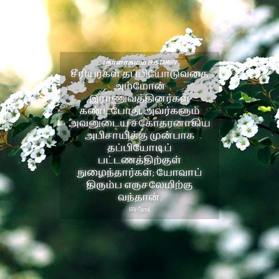 Picture 04 - 1 நாளாகமம் 19:15 TAMIRV - சீரியர்கள் - Bible Verse Picture