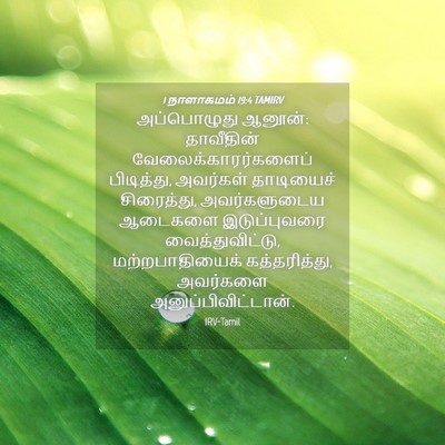 Picture 04 - 1 நாளாகமம் 19:4 TAMIRV - அப்பொழுது ஆனூன்: - Bible Verse Picture