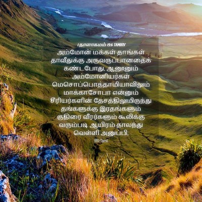 Picture 04 - 1 நாளாகமம் 19:6 TAMIRV - அம்மோன் மக்கள் - Bible Verse Picture
