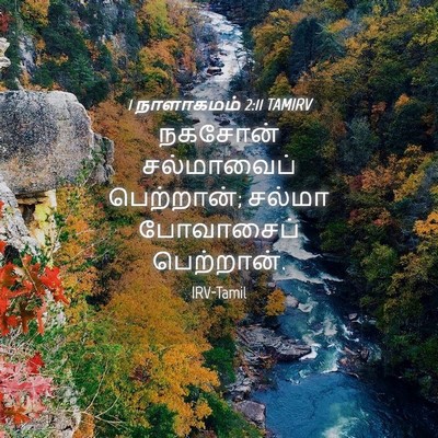 Picture 04 - 1 நாளாகமம் 2:11 TAMIRV - நகசோன் சல்மாவைப் - Bible Verse Picture