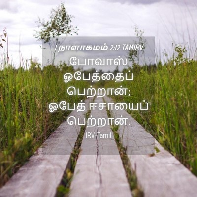 Picture 04 - 1 நாளாகமம் 2:12 TAMIRV - போவாஸ் ஓபேத்தைப் - Bible Verse Picture
