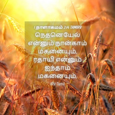 Picture 04 - 1 நாளாகமம் 2:14 TAMIRV - நெதனெயேல் என்னும் - Bible Verse Picture
