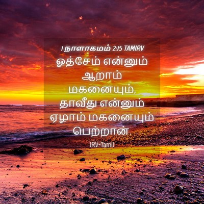 Picture 04 - 1 நாளாகமம் 2:15 TAMIRV - ஓத்சேம் என்னும் - Bible Verse Picture