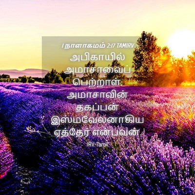 Picture 04 - 1 நாளாகமம் 2:17 TAMIRV - அபிகாயில் - Bible Verse Picture