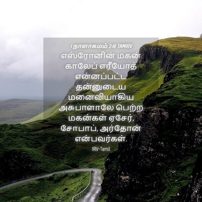 Picture 04 - 1 நாளாகமம் 2:18 TAMIRV - எஸ்ரோனின் மகன் - Bible Verse Picture