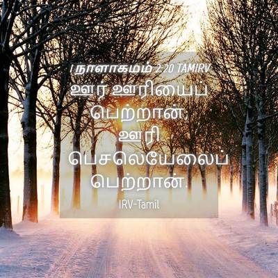 Picture 04 - 1 நாளாகமம் 2:20 TAMIRV - ஊர் ஊரியைப் - Bible Verse Picture