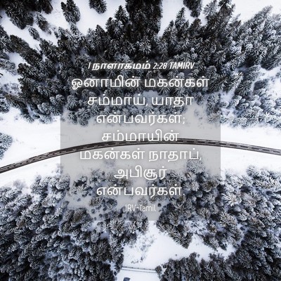 Picture 04 - 1 நாளாகமம் 2:28 TAMIRV - ஓனாமின் மகன்கள் - Bible Verse Picture