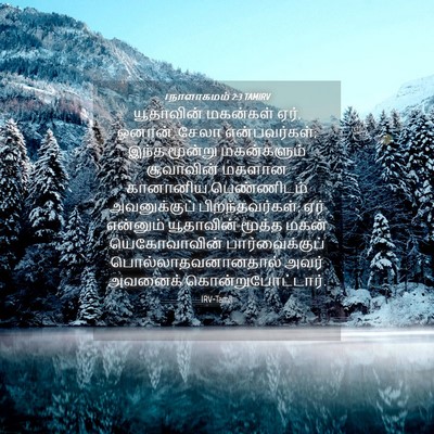 Picture 04 - 1 நாளாகமம் 2:3 TAMIRV - யூதாவின் மகன்கள் - Bible Verse Picture