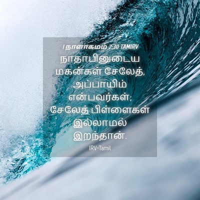Picture 04 - 1 நாளாகமம் 2:30 TAMIRV - நாதாபினுடைய - Bible Verse Picture