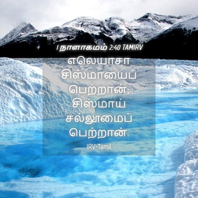 Picture 04 - 1 நாளாகமம் 2:40 TAMIRV - எலெயாசா - Bible Verse Picture