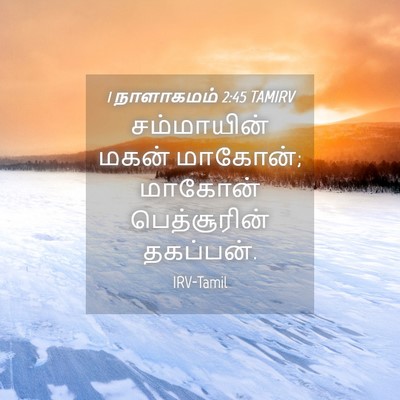 Picture 04 - 1 நாளாகமம் 2:45 TAMIRV - சம்மாயின் மகன் - Bible Verse Picture