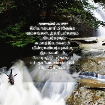 Picture 04 - 1 நாளாகமம் 2:53 TAMIRV -  - Bible Verse Picture