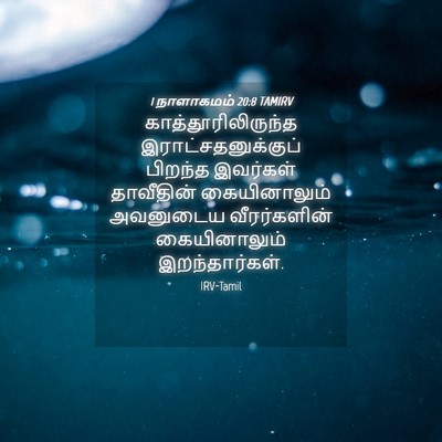 Picture 04 - 1 நாளாகமம் 20:8 TAMIRV - காத்தூரிலிருந்த - Bible Verse Picture