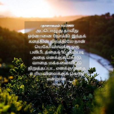 Picture 04 - 1 நாளாகமம் 21:22 TAMIRV - அப்பொழுது தாவீது - Bible Verse Picture