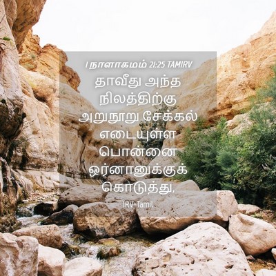 Picture 04 - 1 நாளாகமம் 21:25 TAMIRV - தாவீது அந்த - Bible Verse Picture