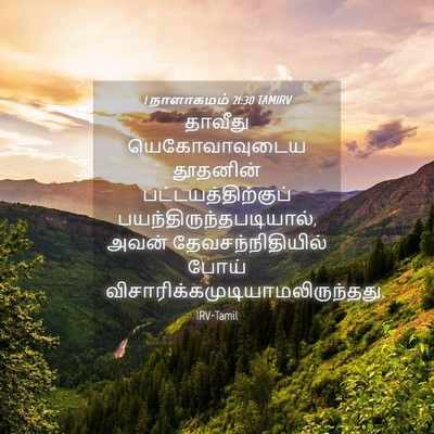 Picture 04 - 1 நாளாகமம் 21:30 TAMIRV - தாவீது - Bible Verse Picture