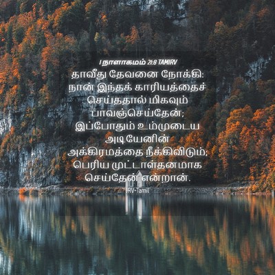 Picture 04 - 1 நாளாகமம் 21:8 TAMIRV - தாவீது தேவனை - Bible Verse Picture