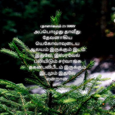 Picture 04 - 1 நாளாகமம் 22:1 TAMIRV - அப்பொழுது தாவீது: - Bible Verse Picture