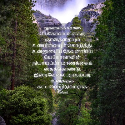 Picture 04 - 1 நாளாகமம் 22:12 TAMIRV - யெகோவா உனக்கு - Bible Verse Picture