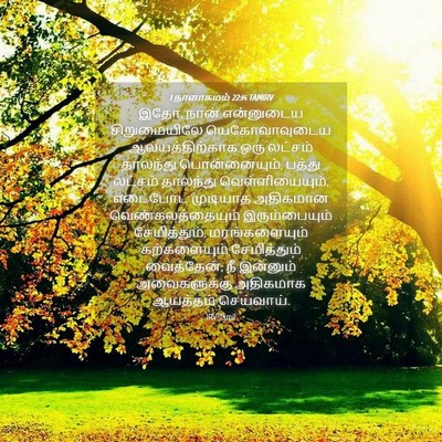 Picture 04 - 1 நாளாகமம் 22:14 TAMIRV - இதோ, நான் என்னுடைய - Bible Verse Picture