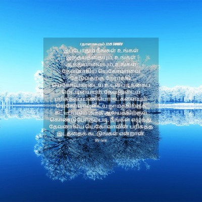 Picture 04 - 1 நாளாகமம் 22:19 TAMIRV - இப்போதும் நீங்கள் - Bible Verse Picture