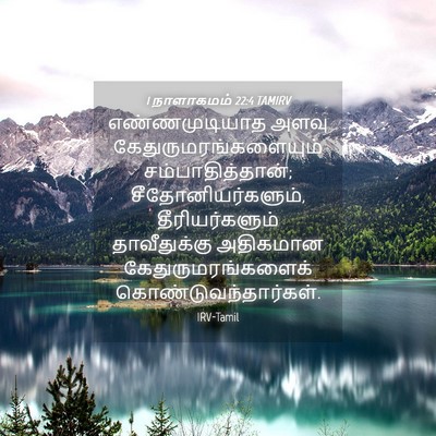 Picture 04 - 1 நாளாகமம் 22:4 TAMIRV - எண்ணமுடியாத அளவு - Bible Verse Picture